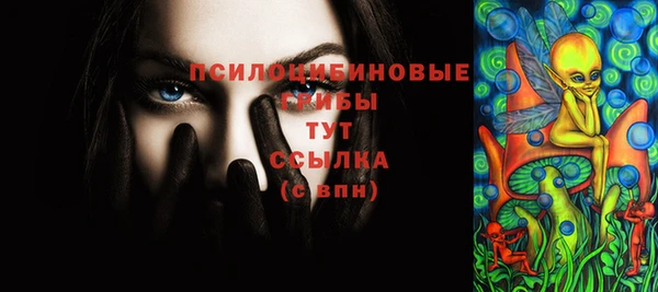 2c-b Слюдянка